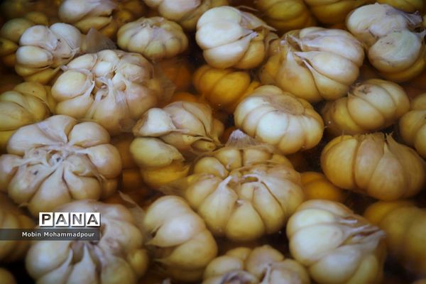 تیمورلو، پایتخت سیر ایران