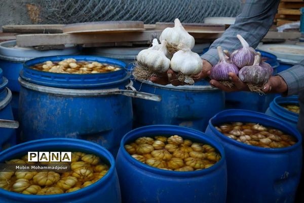 تیمورلو، پایتخت سیر ایران