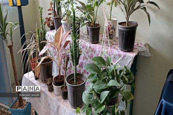 نمایشگاه آداب و رسوم اتباع مختلف در مرکز یادگیری شهید‌واعظی ناحیه یک بهارستان