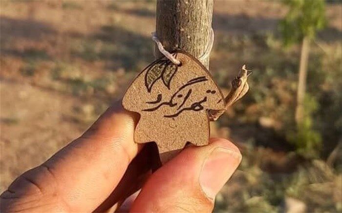 شهر ری از تاریخ تا صنعت در برنامه این هفته «تهرانگرد»