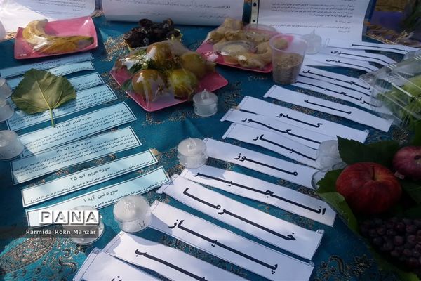 اردوی مهارت‌آموزی مربیان و یاورمربیان ناحیه دو شیراز