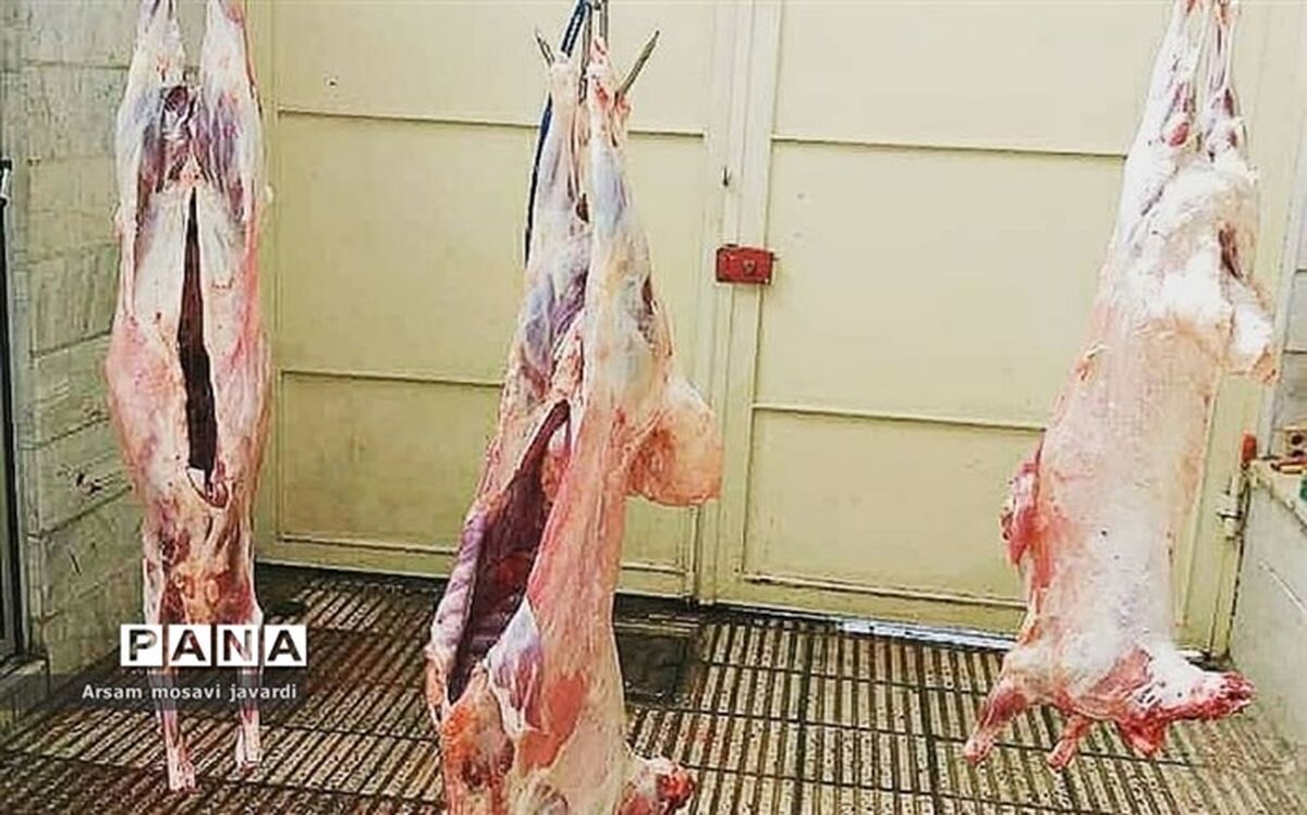 آمادگی کمیته امداد فارس به منظور جمع‌آوری و توزیع نذورات قربانی