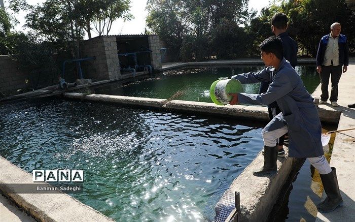 طرح تولیدی کردن هنرستان‌ها در استان فارس محقق می‌شود