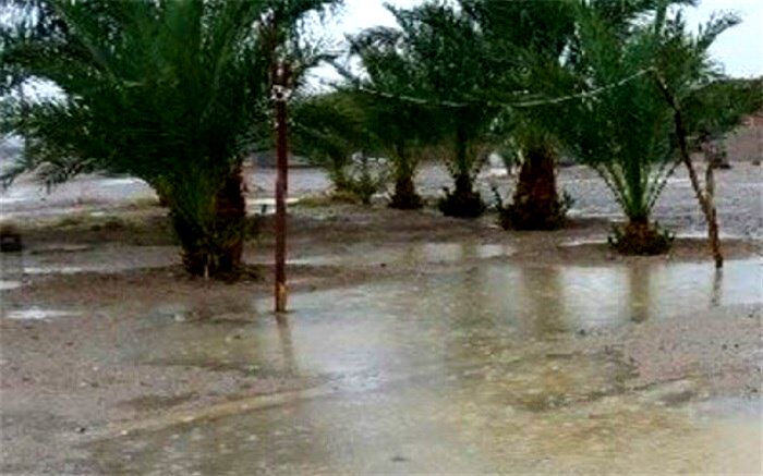 آغاز فعالیت سامانه بارشی «مونسون» در بلوچستان