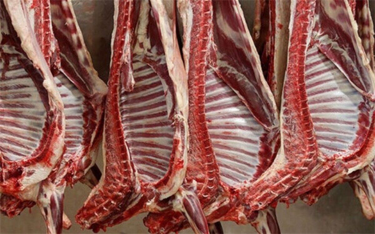 دام زنده سبک برای عید قربان به قیمت هر کیلو ۱۷۹ هزار تومان