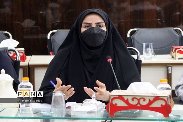 جلسه کار گروه طرح ملی نماد در بوشهر