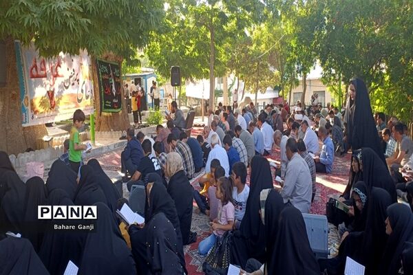 قرائت دعای عرفه در جوار حرم امامزاده سلطان نورالدین اردکان