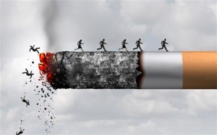 زنجیره انسانی «نه به  اعتیاد» در تنگستان تشکیل شد