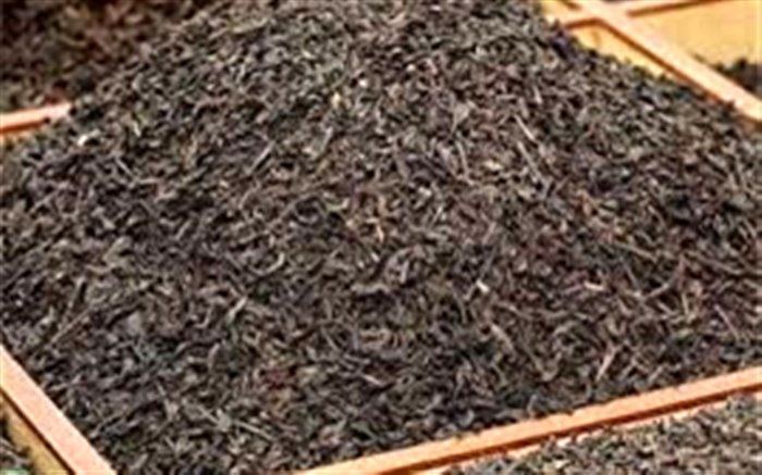 قیمت چای خشک داخلی متناسب با افزایش هزینه‌های تولید است