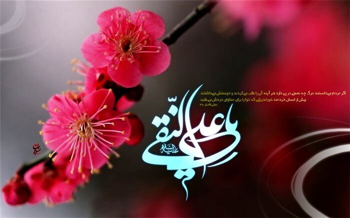 روایت دانش‌آموز خبرنگار پانای شهرستان‌قرچک از زندگی امام هادی(ع)/فیلم