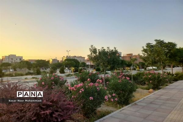 پارک شش و نیم هکتاری شهید سلیمانی  اسلامشهر نماد زیبای پوشش‌های گیاهی متنوع