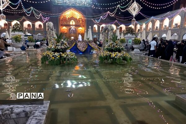 شور و نشاط زائرین حرم آقا امام رضا( ع) در شب ولادت  امام موسی کاظم (ع)