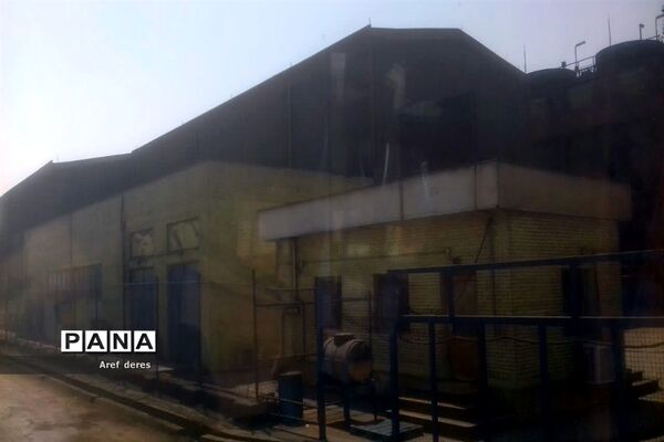 برگزاری اردوی راهیان پیشرفت ویژه دانش‌آموزان شادگانی