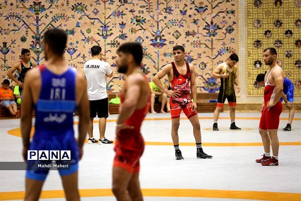 تمرین تیم ملی کشتی فرنگی نوجوانان و بزرگسالان