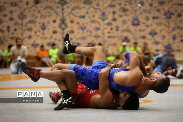 تمرین تیم ملی کشتی فرنگی نوجوانان و بزرگسالان