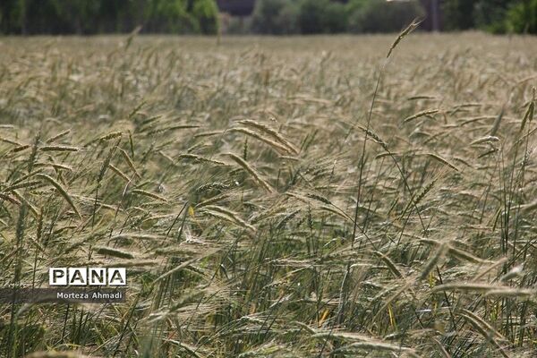روستای ممش‌خان در شهرستان خوی استان آذربایجان غربی