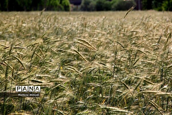 روستای ممش‌خان در شهرستان خوی استان آذربایجان غربی