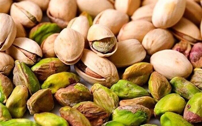 تولید بیش از 240 هزار تُن پسته در سال جاری