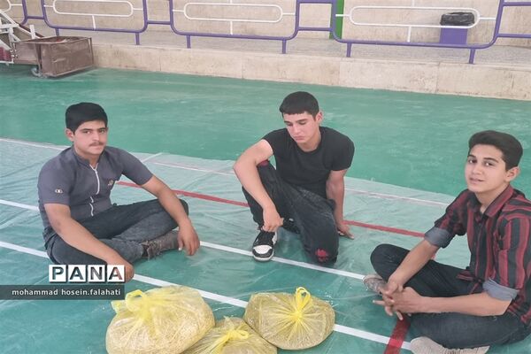 کسب مقام دومی دانش‌آموزان مروستی در مسابقات استانی سازه‌های خشتی