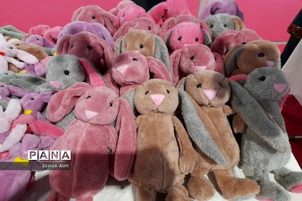 حضور پرشور دانش‌آموزان و بانوان فرهنگی در رویداد سما