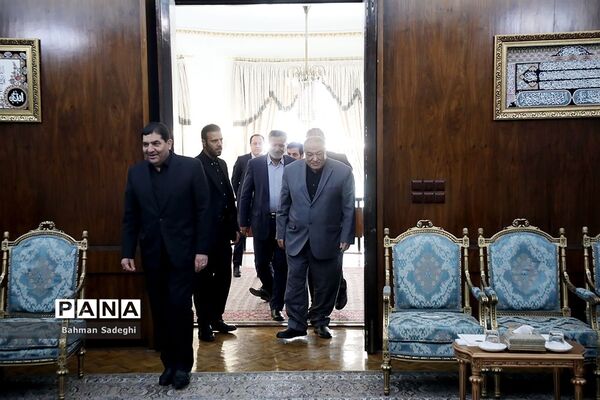 دیدار وزیر کار و امور اجتماعی عراق با معاون اول رئیس جمهوری