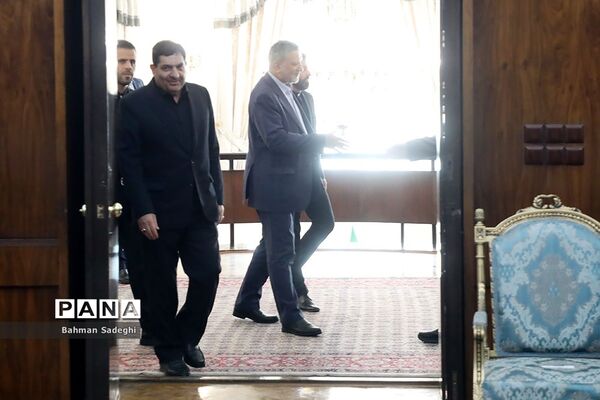 دیدار وزیر کار و امور اجتماعی عراق با معاون اول رئیس جمهوری