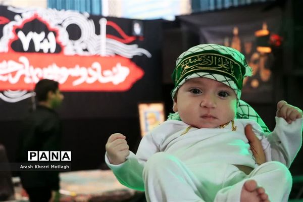 شیرخوارگان حسینی در کازرون