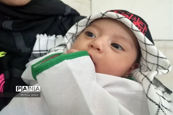 اجتماع شیرخوارگان حسینی در امامزاده سید حمزه(ع)  کاشمر