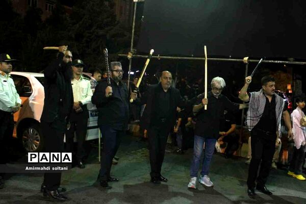 شاه حسین گویان پابوسان امام رضا(ع) تبریز