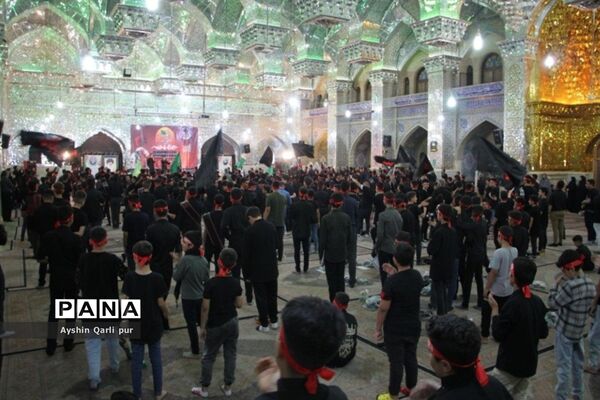 برگزاری مراسم احلی من العسل در شیراز