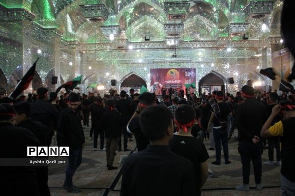 برگزاری مراسم احلی من العسل در شیراز