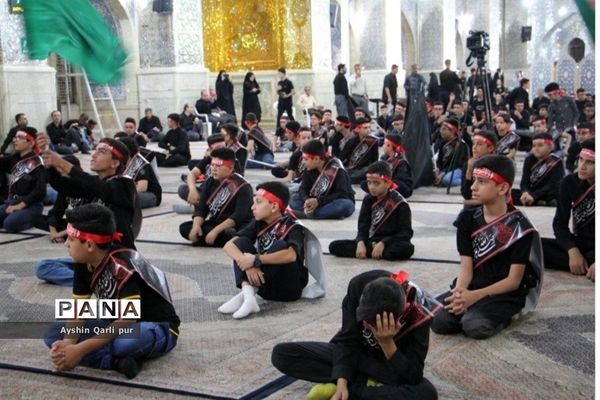 برگزاری مراسم احلی من العسل در شیراز