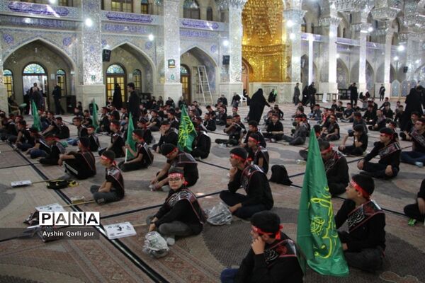 برگزاری مراسم احلی من العسل در شیراز