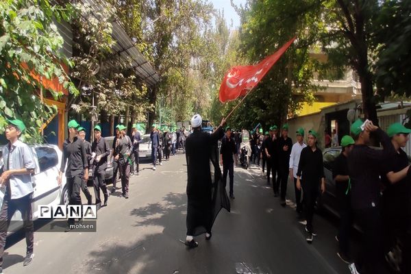 شور حال حسینی در قلب پایتخت