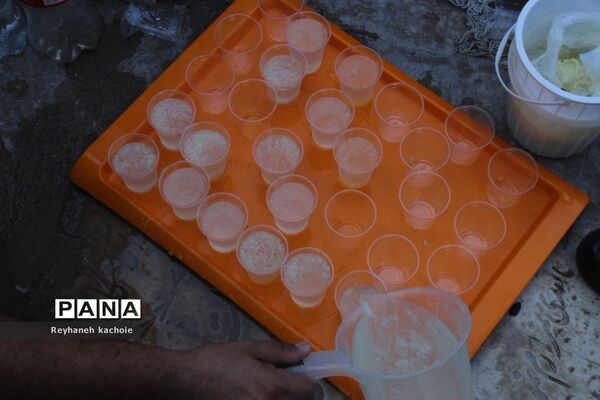 برگزاری مراسم روز عاشورای حسینی در روستای جعفرآباد جنگل بخش جوادآباد
