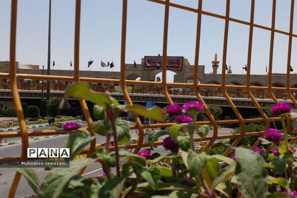 آیین زنجیر‌زنی و سینه‌زنی در روز عاشورای حسینی