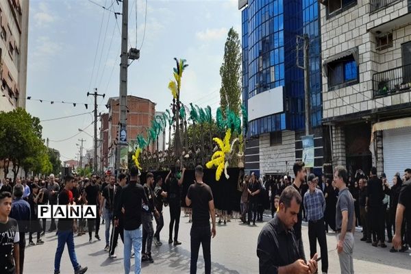 آیین زنجیر زنی و سینه‌زنی عاشورای حسینی  در نور