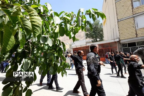 روز‌عاشورا در شهرستان فریدونشهر
