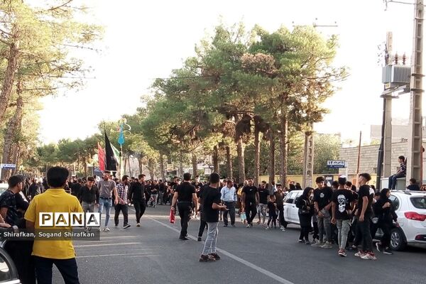 حرکت کاروان نمادین بنی اسد در شهرستان کاشمر
