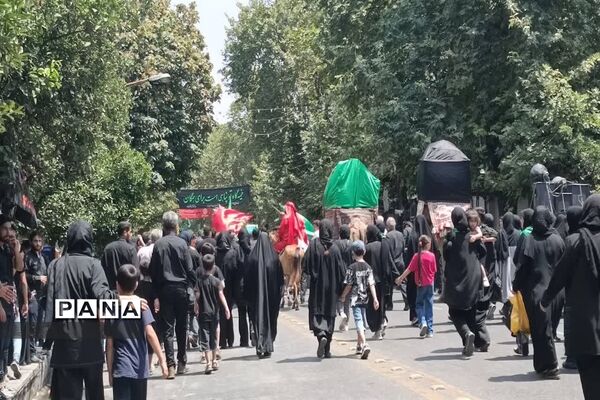 مراسم عزاداری ظهر روز عاشورای حسینی در ساری