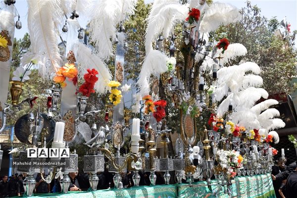 سنت عَلَم‌کشی به یاد علمدار دشت نینوا در تربت حیدریه