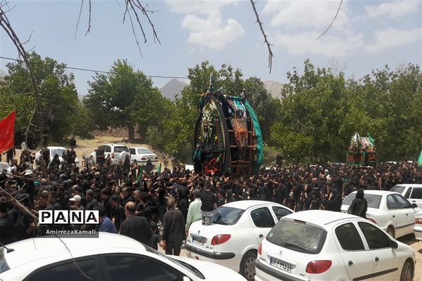 آیین نخل‌برداری علی‌آباد پیشکوه تفت