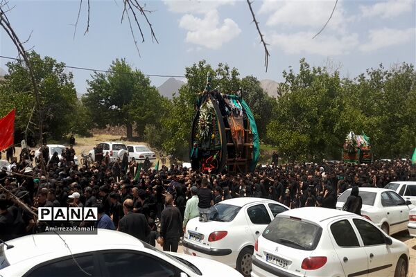 آیین نخل‌برداری علی‌آباد پیشکوه تفت
