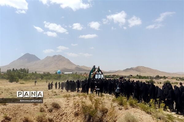 آیین نخل‌برداری علی‌آباد پیشکوه تفت