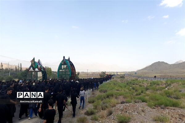 آیین نخل‌برداری علی‌آباد پیشکوه تفت