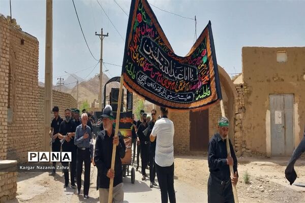 آئین نخل‌برداری مردم روستای توت اردکان
