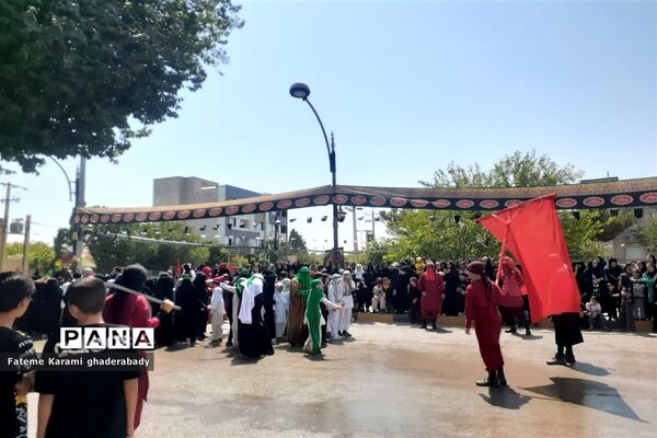 سوگواری ایام عزاداری حسین (ع) در قادرآباد فارس