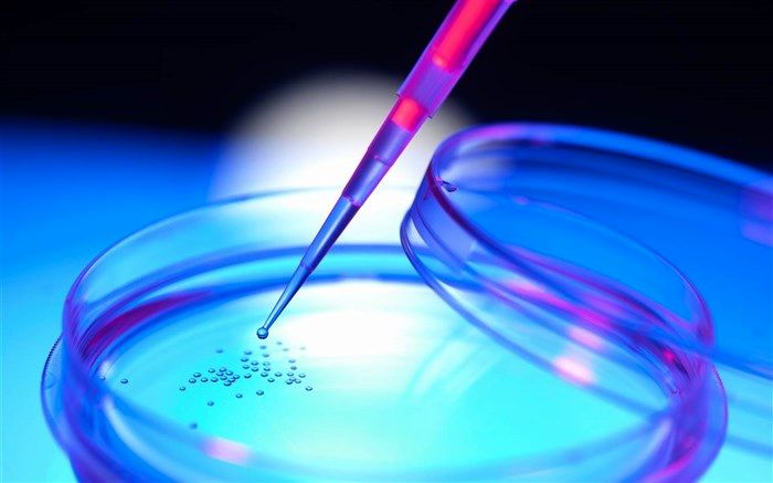 بررسی رفتار سلول‌های بنیادی برای مهار بیماری‌های خونی