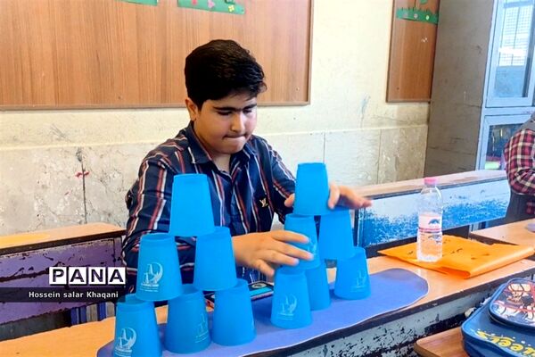 برگزاری کلاس‌های آموزشی ‌بازی‌های فکری رویش در دبستان شهیدان بهاری ‌شیراز
