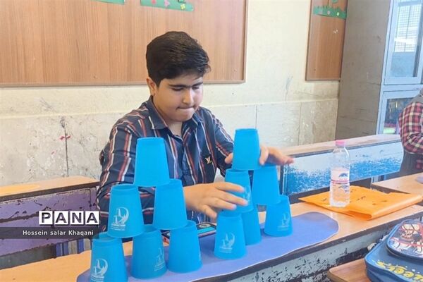 برگزاری کلاس‌های آموزشی ‌بازی‌های فکری رویش در دبستان شهیدان بهاری ‌شیراز